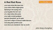 john tiong chunghoo - A Red Red Rose