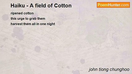 john tiong chunghoo - Haiku - A field of Cotton