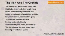 Allan James Saywell - The Irish And The Orchids