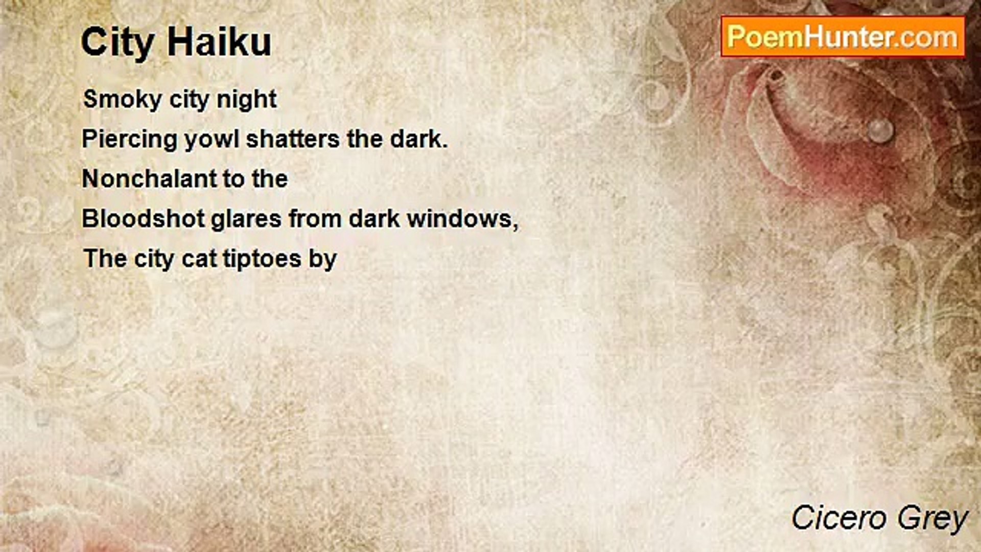 Cicero Grey - City Haiku