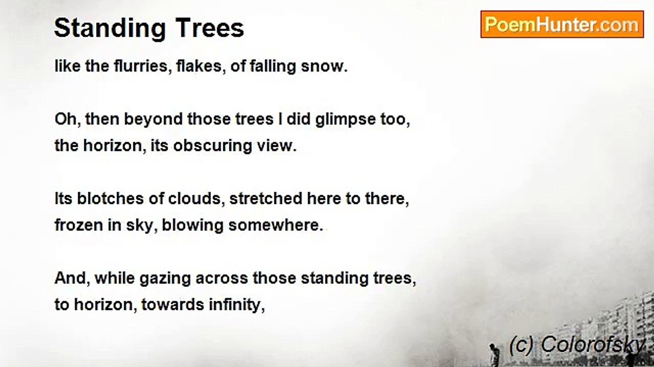 (c) Colorofsky - Standing Trees
