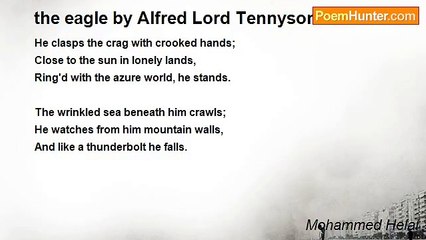 Mohammed Helal - the eagle by Alfred Lord Tennyson