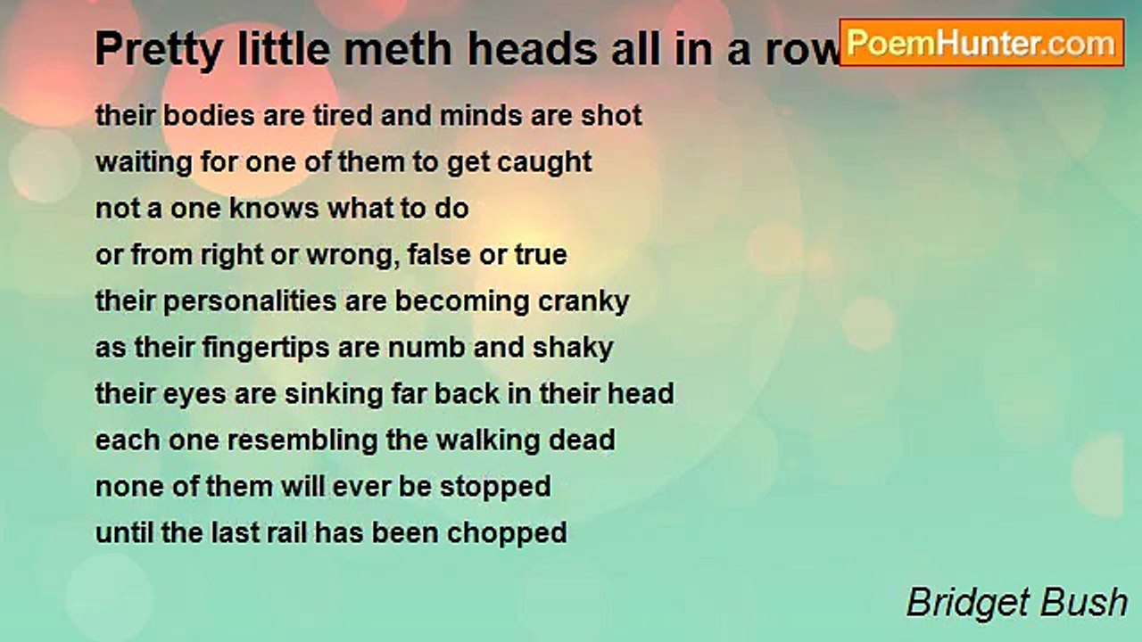 Bridget Bush - Pretty little meth heads all in a row