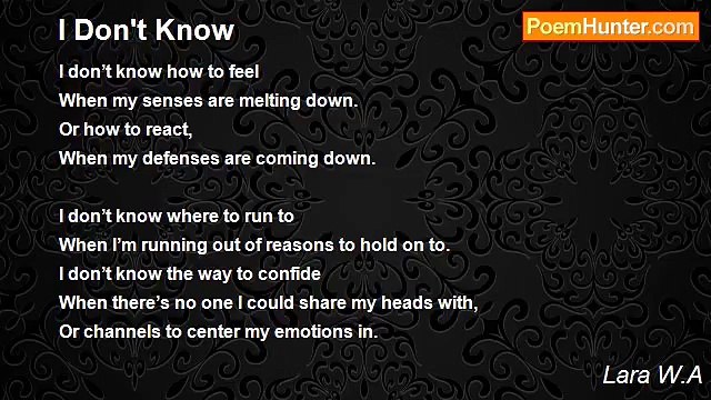 Lara W.A - I Don't Know