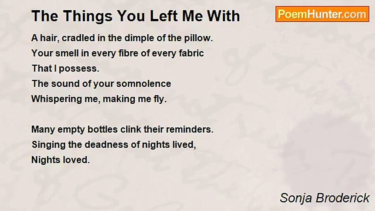Sonja Broderick - The Things You Left Me With