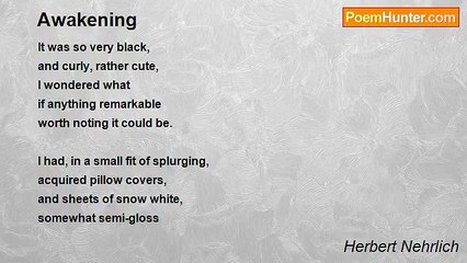 Herbert Nehrlich - Awakening