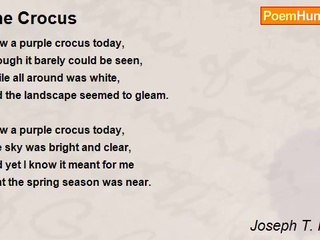 Joseph T. Renaldi - The Crocus