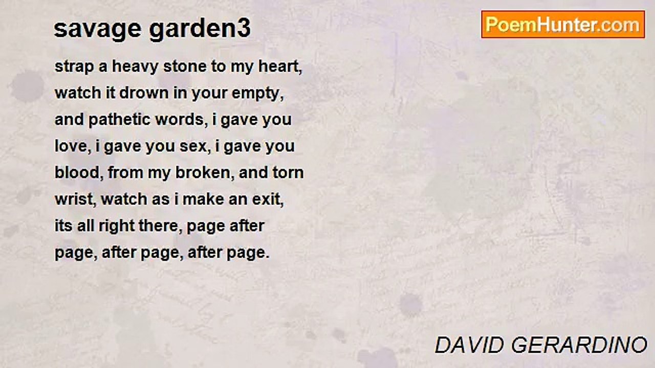 DAVID GERARDINO - savage garden3