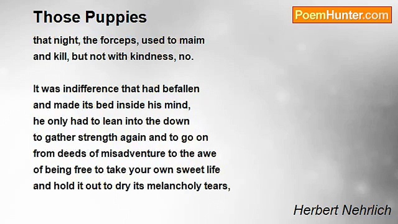 Herbert Nehrlich - Those Puppies