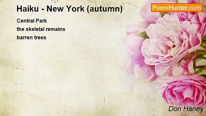 Don Haney - Haiku - New York (autumn)