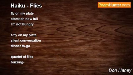 Don Haney - Haiku - Flies