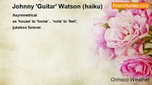 Orinoco Weather - Johnny 'Guitar' Watson (haiku)