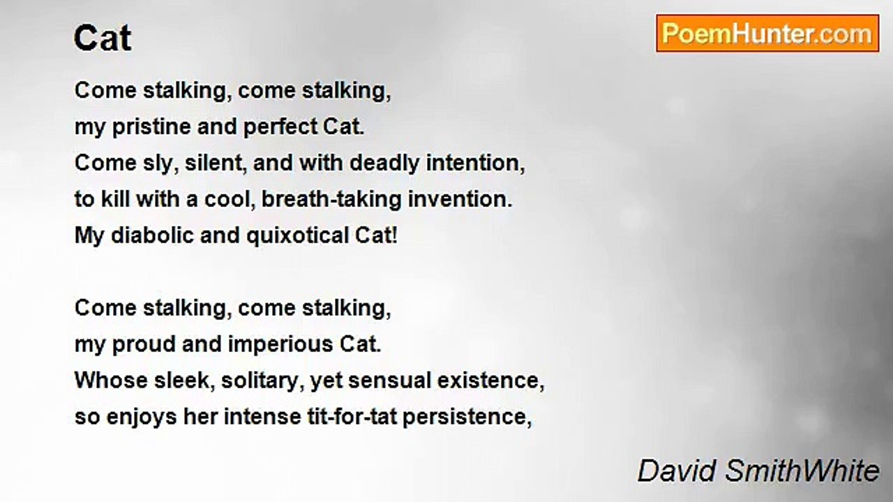 David SmithWhite - Cat
