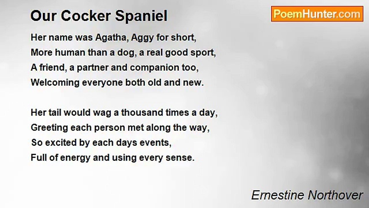 Ernestine Northover - Our Cocker Spaniel