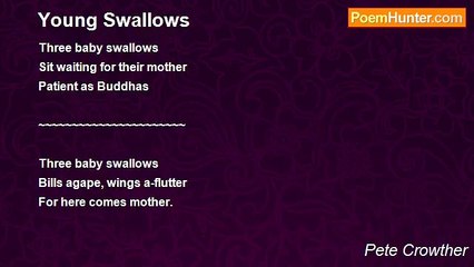 Pete Crowther - Young Swallows
