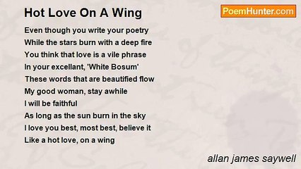 allan james saywell - Hot Love On A Wing