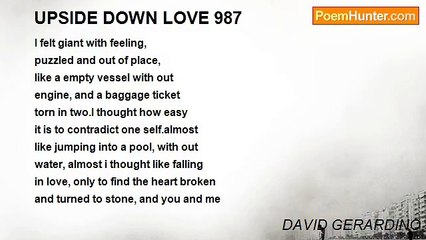 DAVID GERARDINO - UPSIDE DOWN LOVE 987