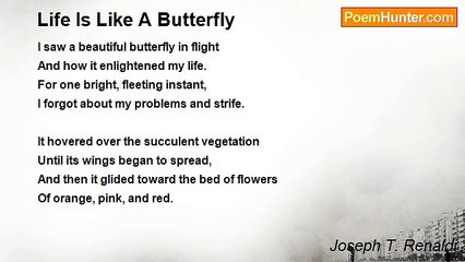 Joseph T. Renaldi - Life Is Like A Butterfly