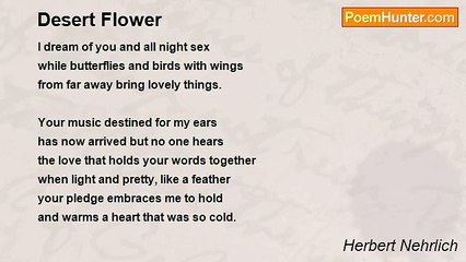 Herbert Nehrlich - Desert Flower