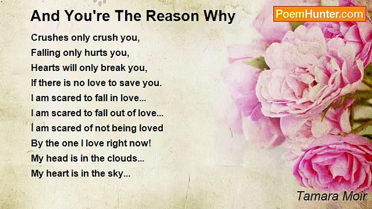 Tamara Moir - And You're The Reason Why