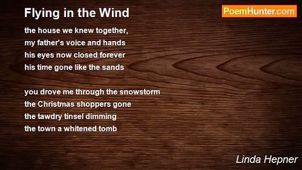 Linda Hepner - Flying in the Wind