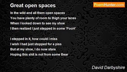 David Darbyshire - Great open spaces