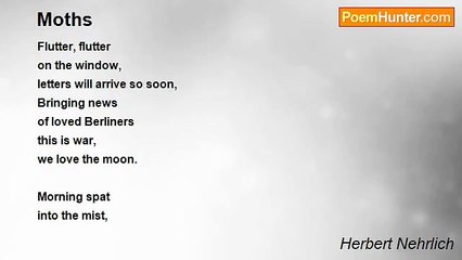 Herbert Nehrlich - Moths