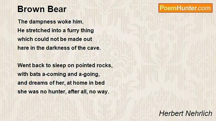 Herbert Nehrlich - Brown Bear