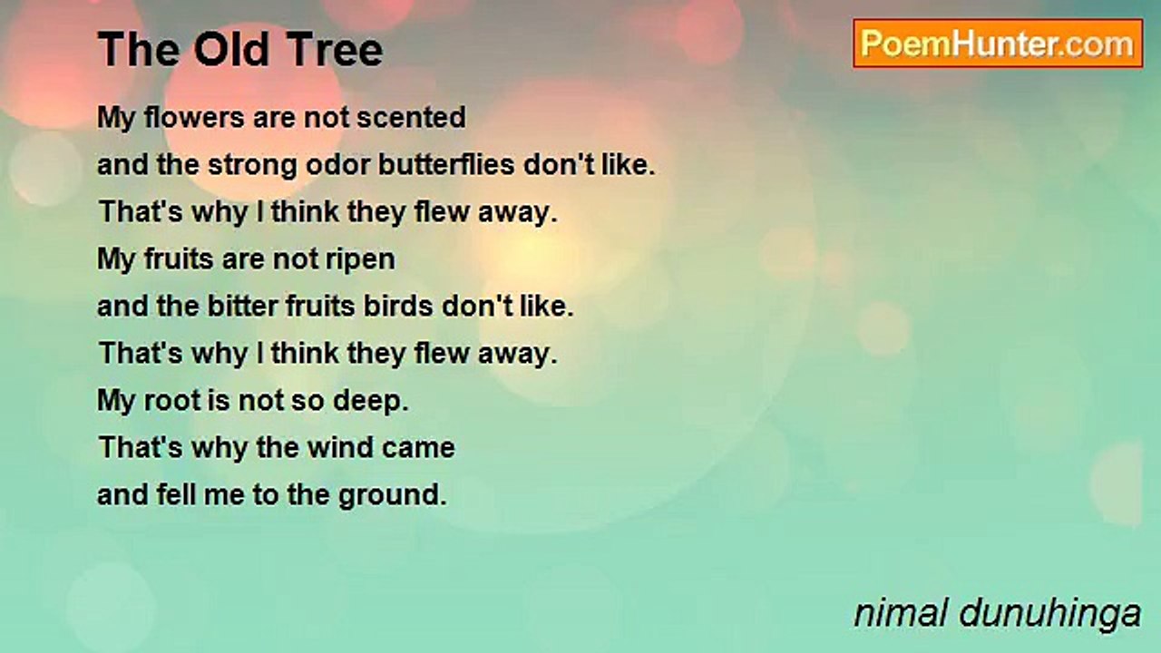nimal dunuhinga - The Old Tree