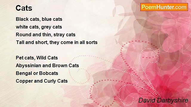 David Darbyshire - Cats