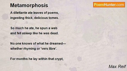 Max Reif - Metamorphosis