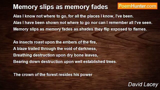 David Lacey - Memory slips as memory fades