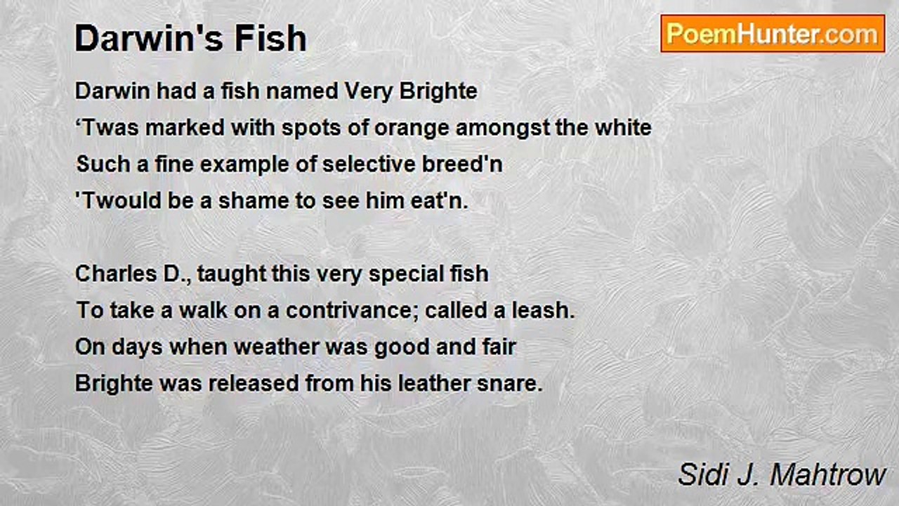 Sidi J. Mahtrow - Darwin's Fish