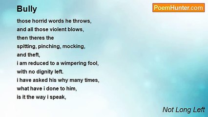 Not Long Left - Bully