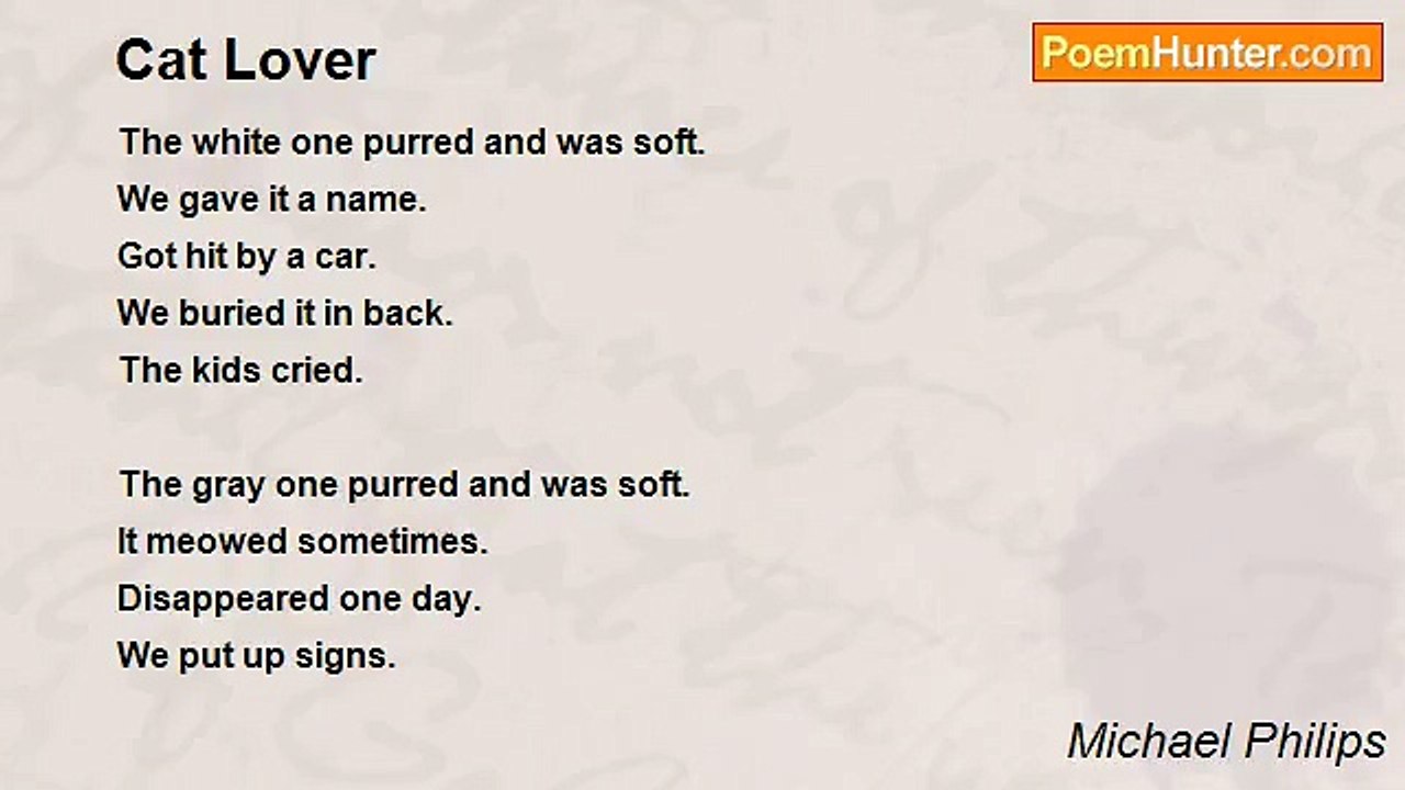 Michael Philips - Cat Lover