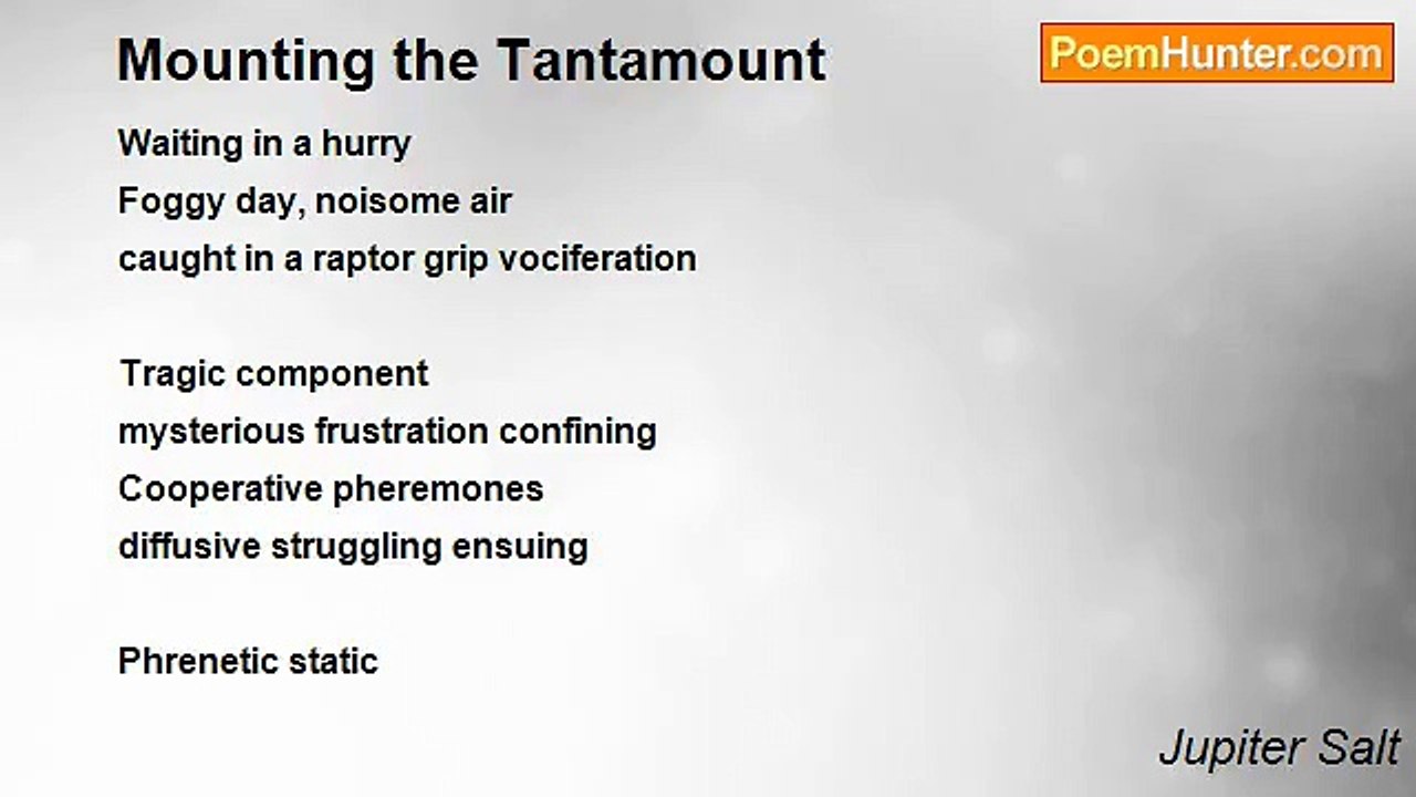Jupiter Salt - Mounting the Tantamount