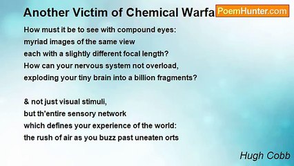 Hugh Cobb - Another Victim of Chemical Warfare