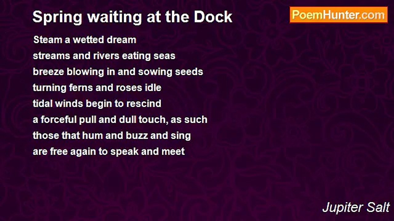 Jupiter Salt - Spring waiting at the Dock