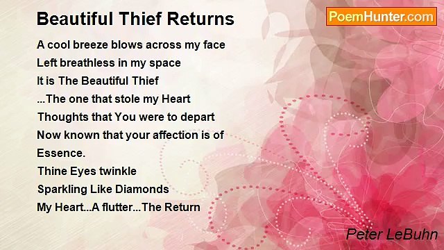 Peter LeBuhn - Beautiful Thief Returns