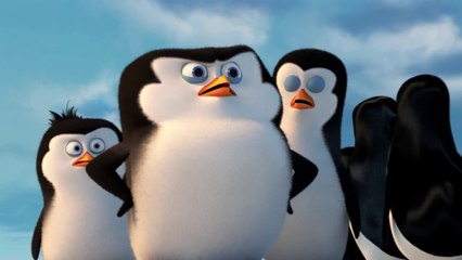 Скачать видео: Os Pinguins de Madagascar - Trailer Final