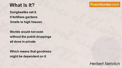 Herbert Nehrlich - What Is It?