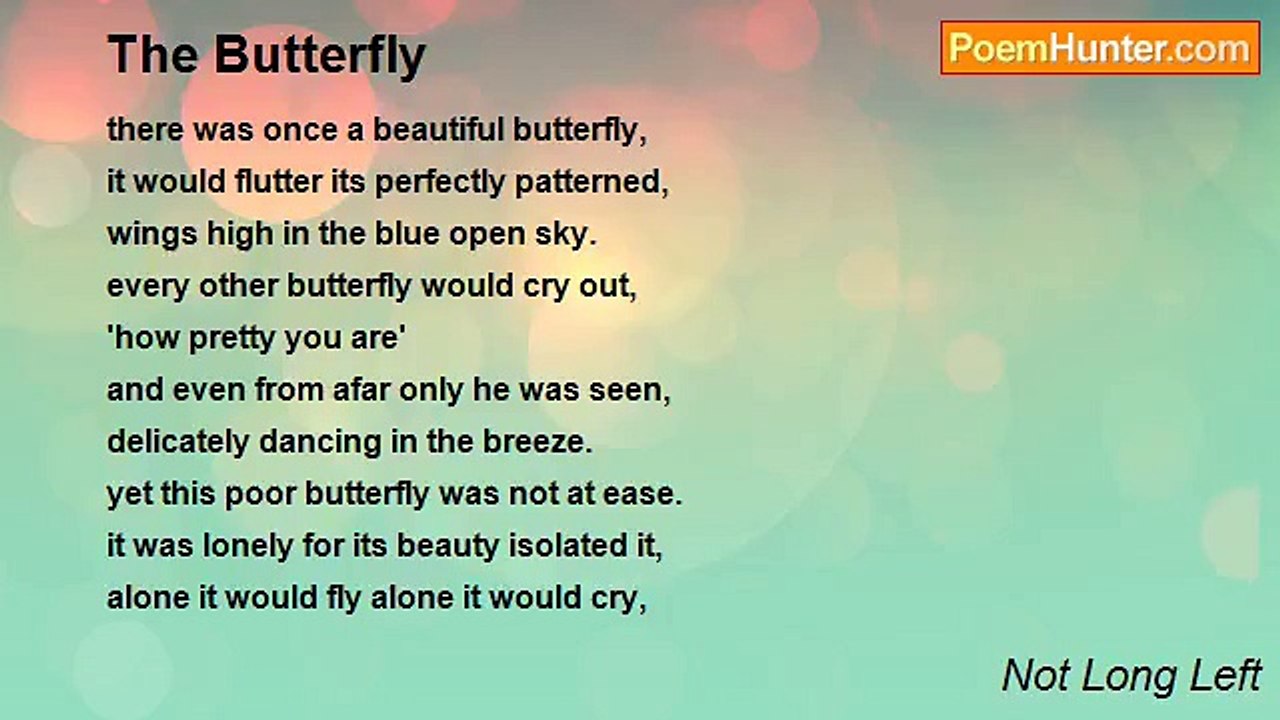 Not Long Left - The Butterfly