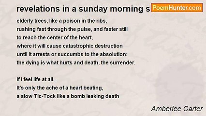 Amberlee Carter - revelations in a sunday morning shower