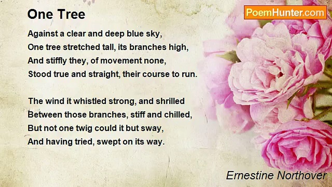 Ernestine Northover - One Tree