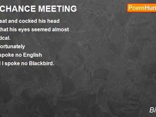 Bill Mitton - A CHANCE MEETING