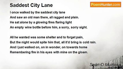 Seán O Muiríosa - Saddest City Lane