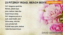DAVID GERARDINO - 23 FITZROY ROAD, BEACH BOYS 1