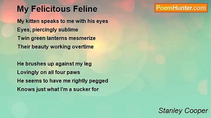 Stanley Cooper - My Felicitous Feline