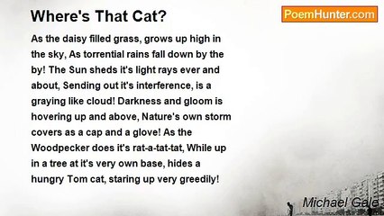 Michael Gale - Where's That Cat?