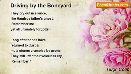 Hugh Cobb - Driving by the Boneyard